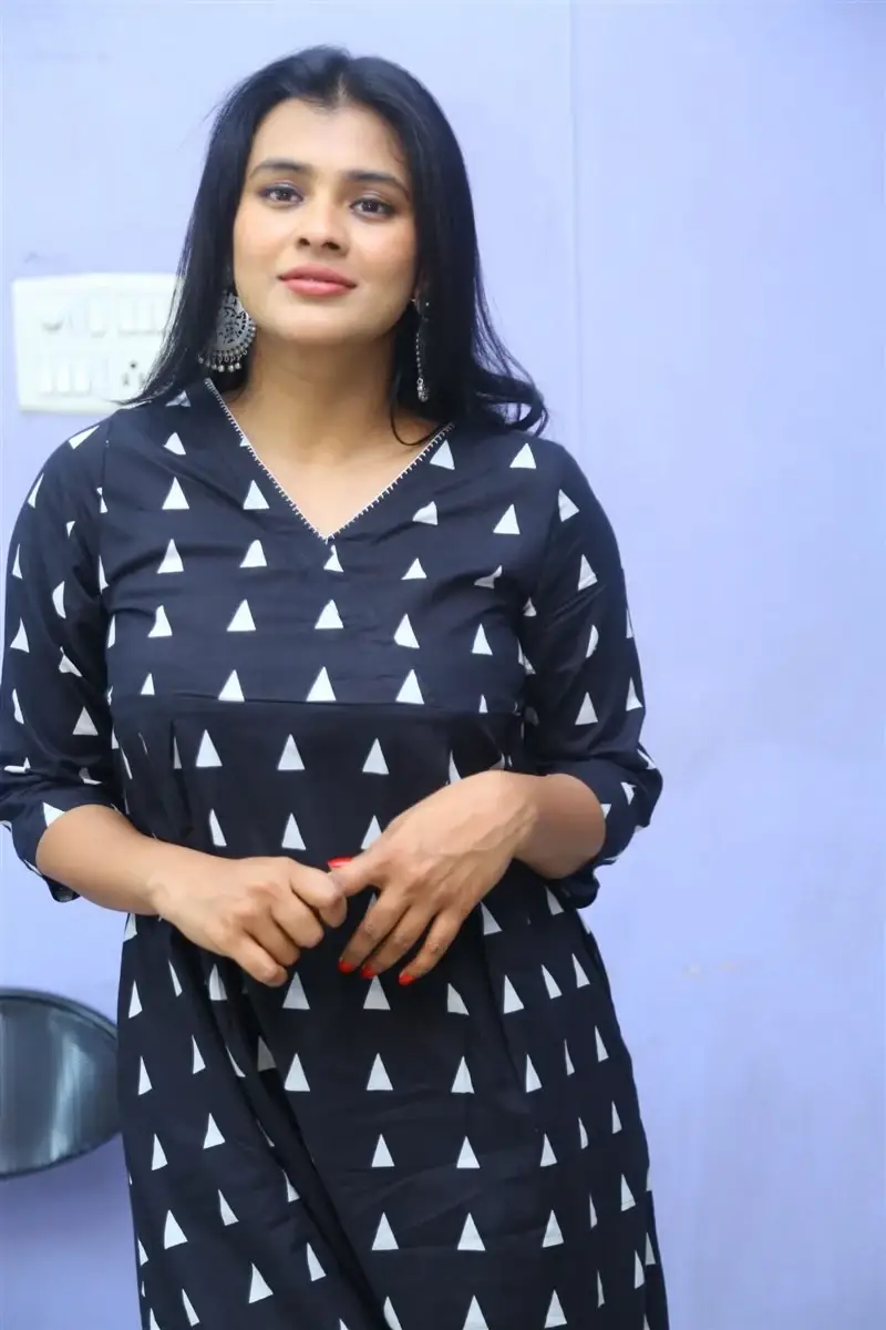 TELUGU ACTRESS HEBAH PATEL AT VYAVASTHA WEB SERIES THANKS MEET 8